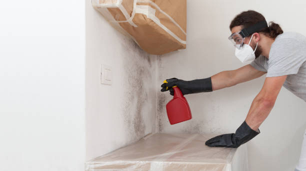 Professional Mold Inspection And Testing technician working in Islip Terrace, NY